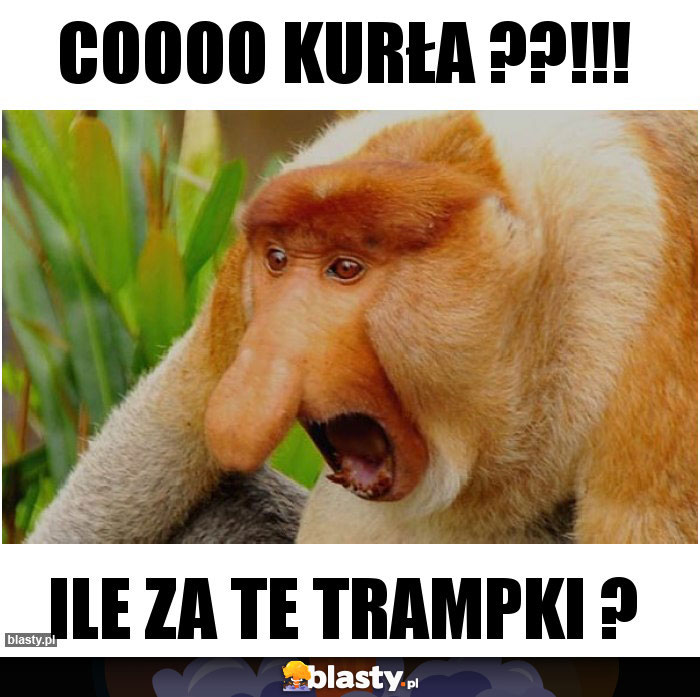 coooo kurła ??!!!