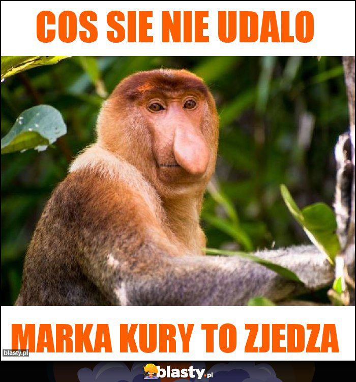 Cos sie nie udalo