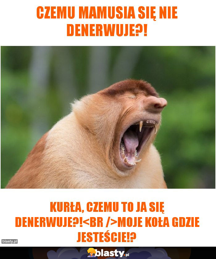 Czemu Mamusia się nie denerwuje?!