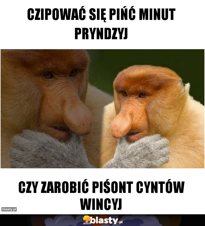 Czipować się pińć minut pryndzyj