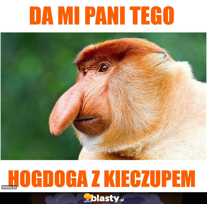 DA MI PANI TEGO