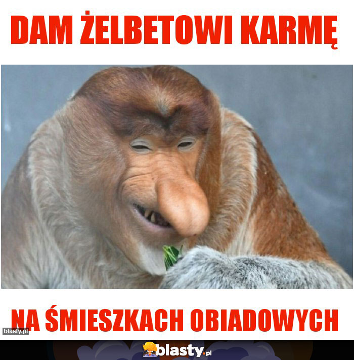 Dam żelbetowi karmę