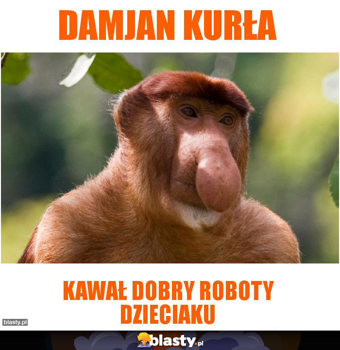 Damjan kurła