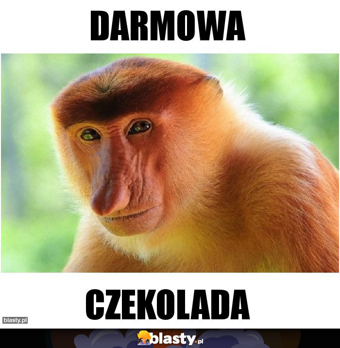 Darmowa