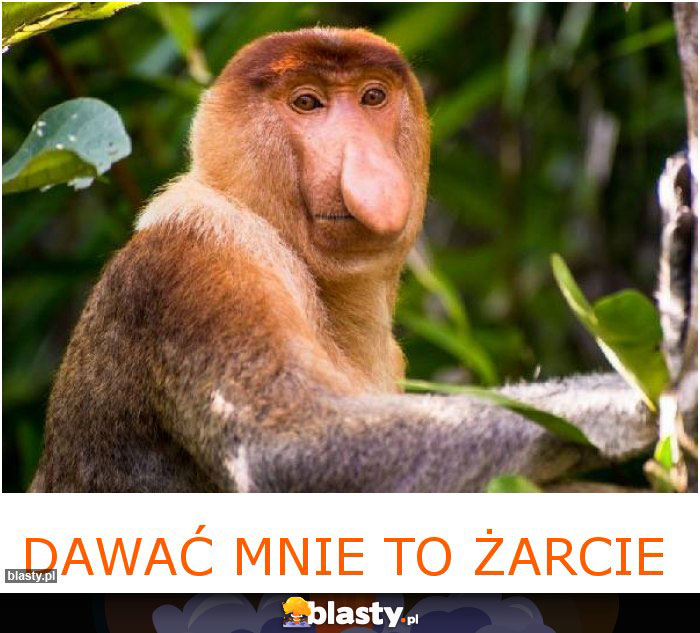 Dawać mnie to żarcie