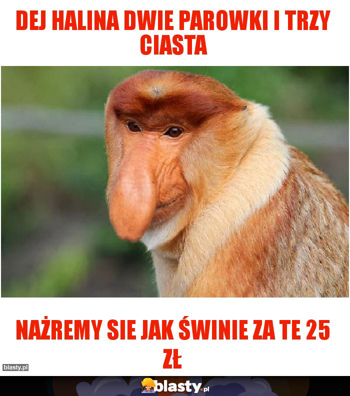 Dej Halina dwie parowki i trzy ciasta