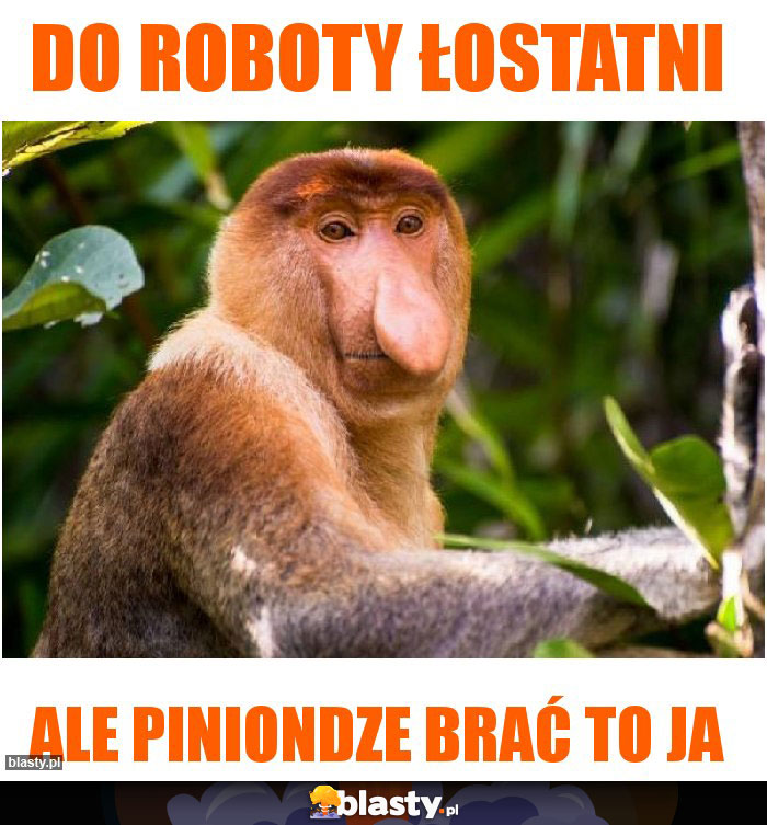 do roboty łostatni