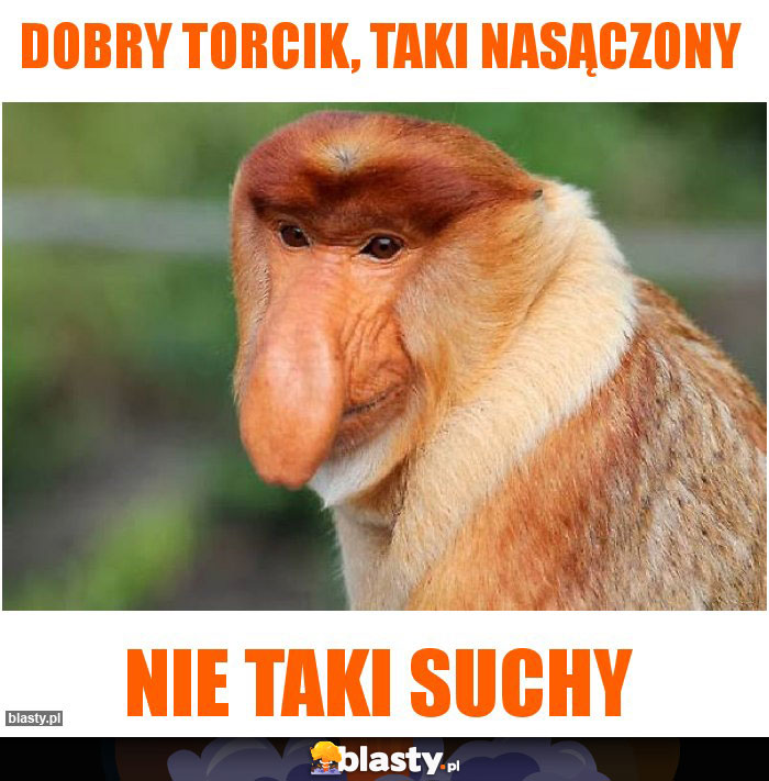 Dobry torcik, taki nasączony