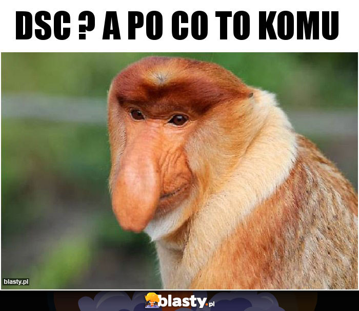 DSC ? a po co to komu