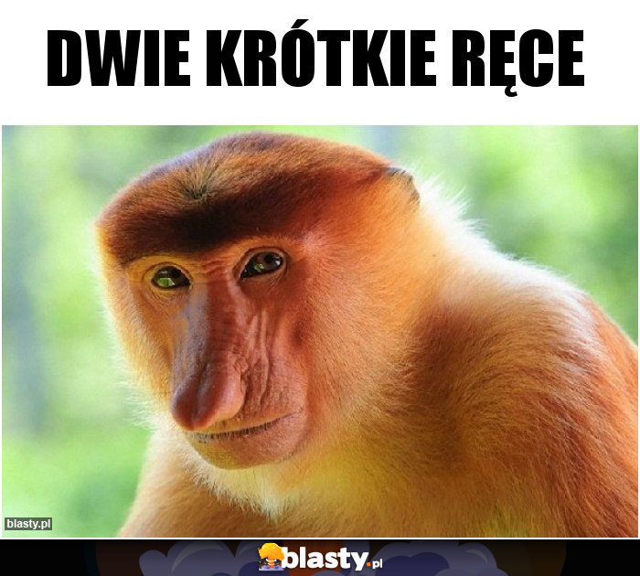 Dwie krótkie ręce