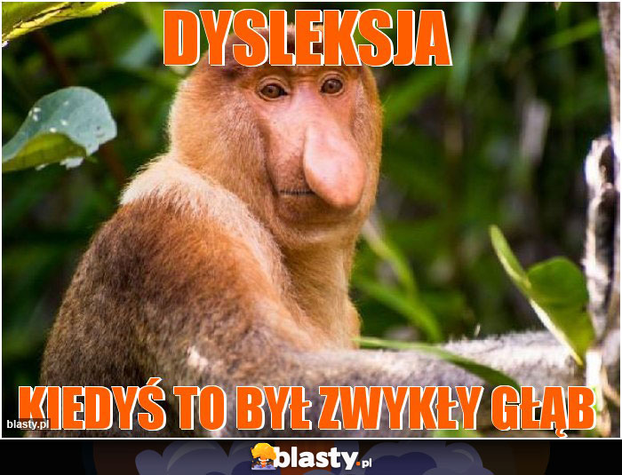 Dysleksja