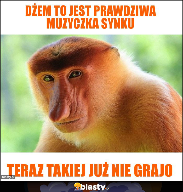 Dżem to jest prawdziwa muzyczka synku