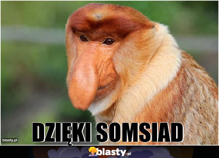 Dzięki somsiad