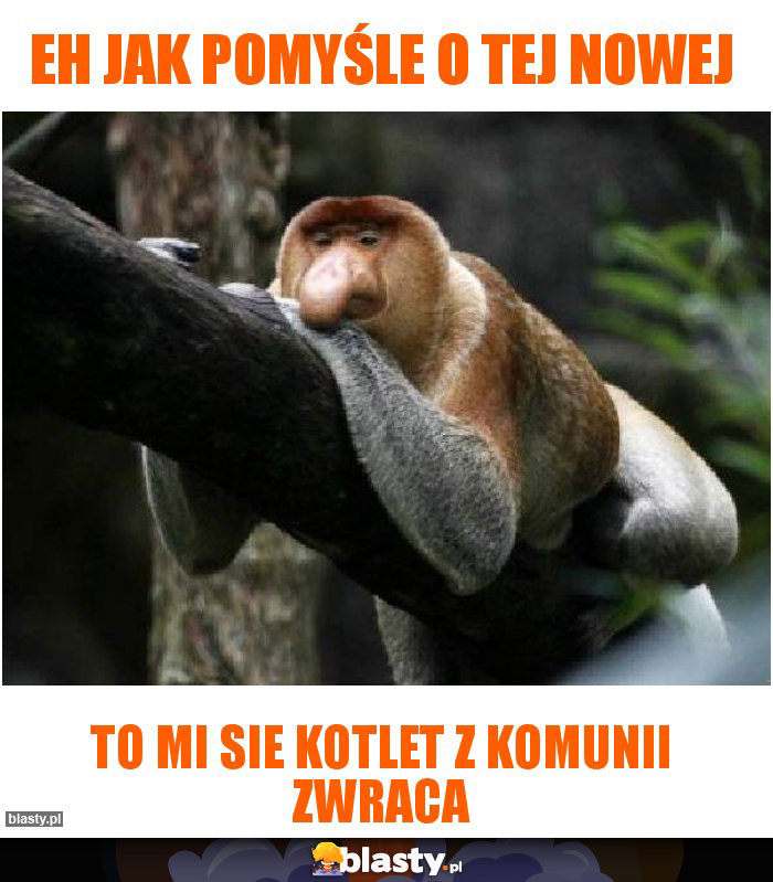 Eh jak pomyśle o tej nowej