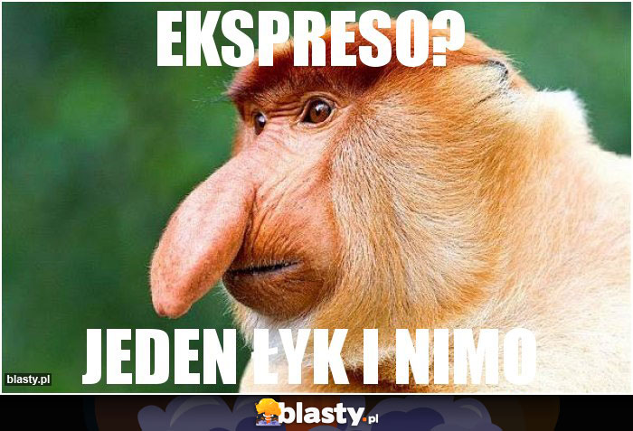 EKSPRESO?