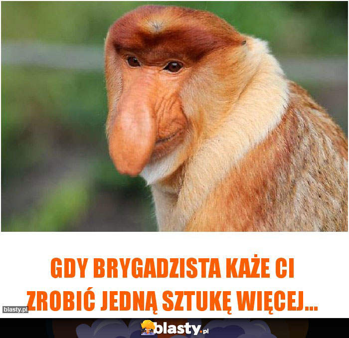 Gdy brygadzista każe Ci zrobić jedną sztukę więcej...