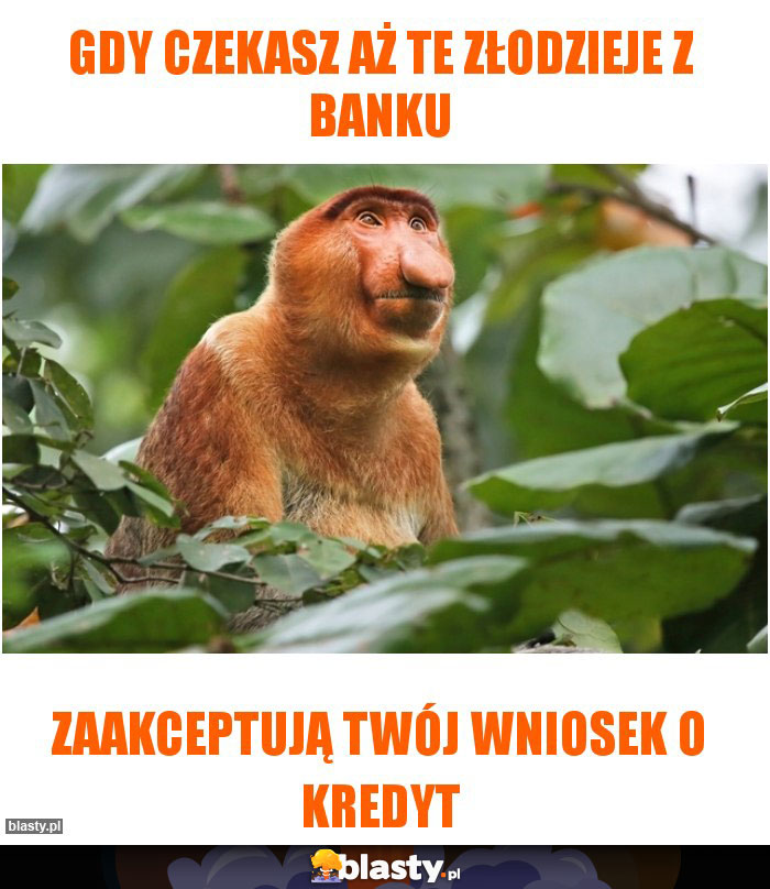 gdy czekasz aż te złodzieje z banku