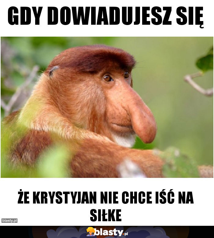 Gdy dowiadujesz się