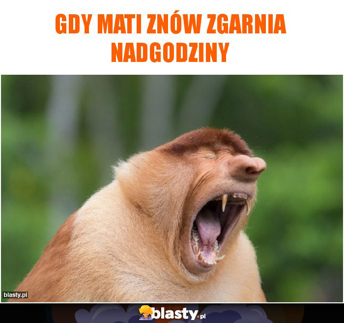 Gdy Mati znów zgarnia nadgodziny