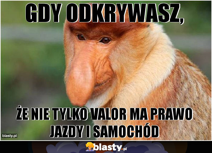 GDY ODKRYWASZ,