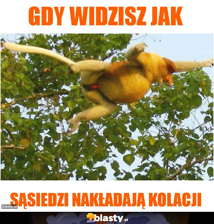 Gdy widzisz jak