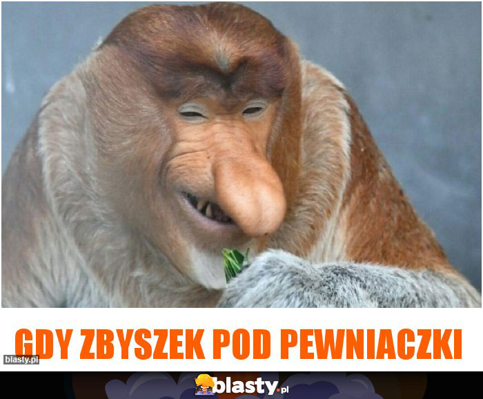 Gdy Zbyszek pod pewniaczki