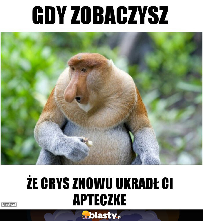 GDY ZOBACZYSZ