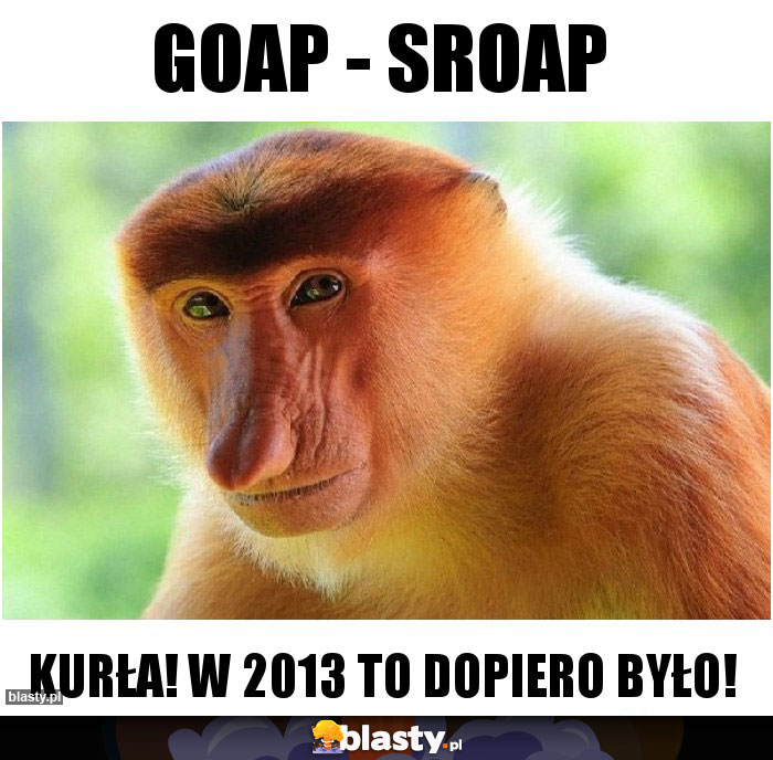 Goap - Sroap