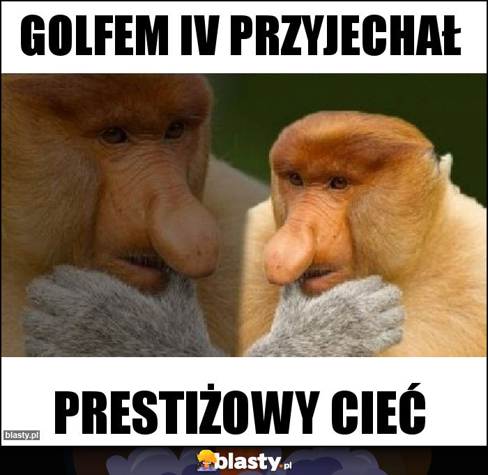 Golfem IV przyjechał