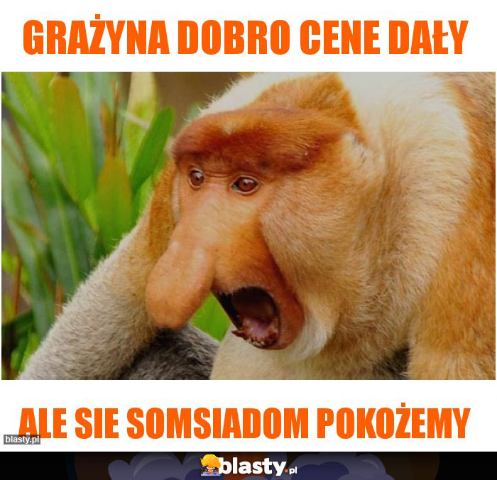 GRAŻYNA DOBRO CENE DAŁY