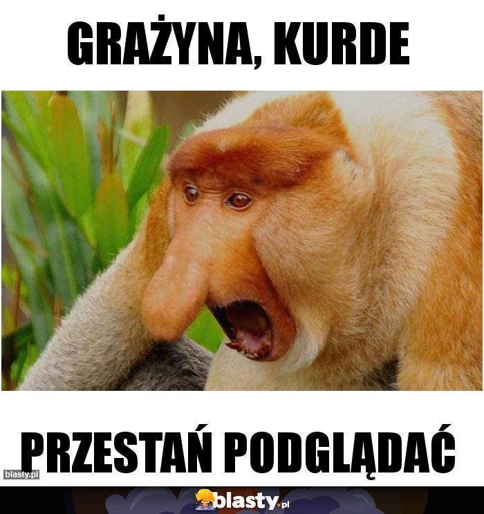 Grażyna, Kurde