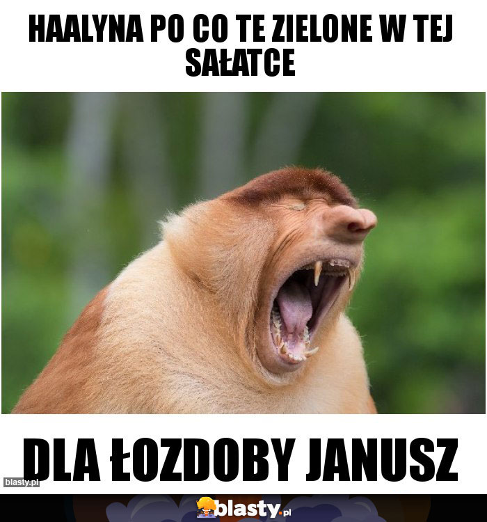 Haalyna po co te zielone w tej sałatce