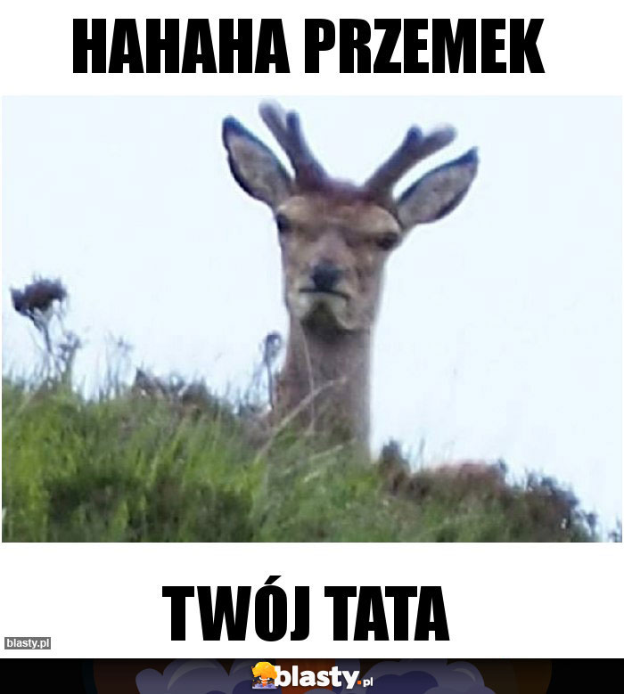 Hahaha Przemek