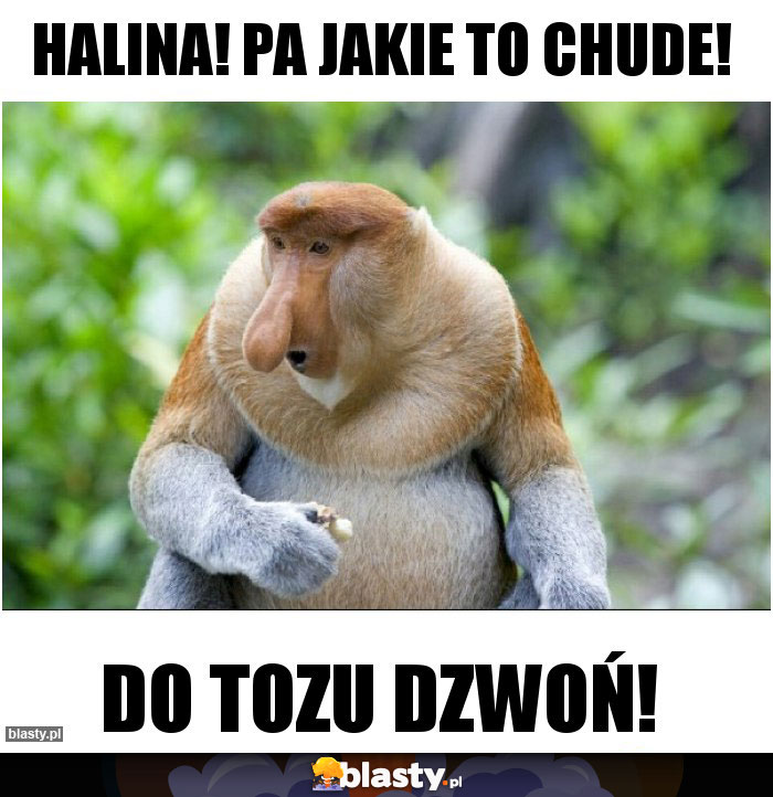 Halina! Pa jakie to chude!