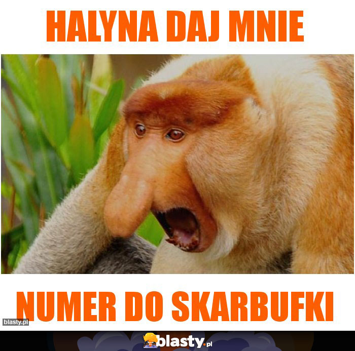 Halyna daj mnie