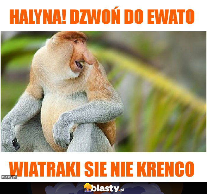 HALYNA! DZWOŃ DO EWATO