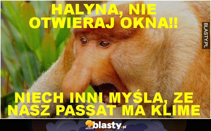 HALYNA, NIE OTWIERAJ OKNA!!