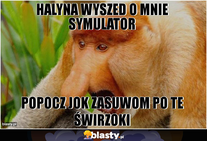 halyna wyszed o mnie symulator