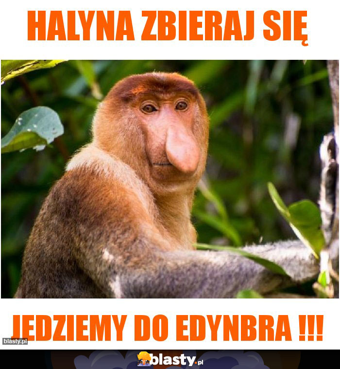 Halyna zbieraj się