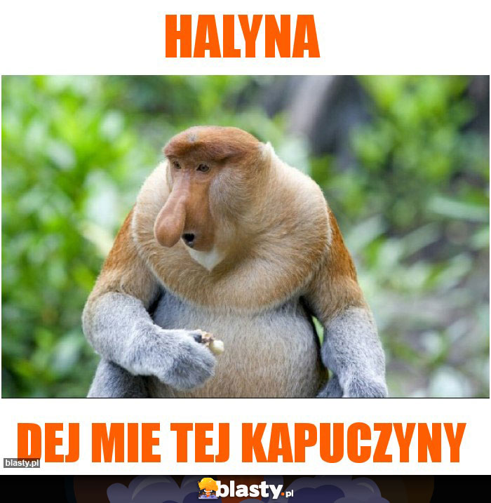 Halyna