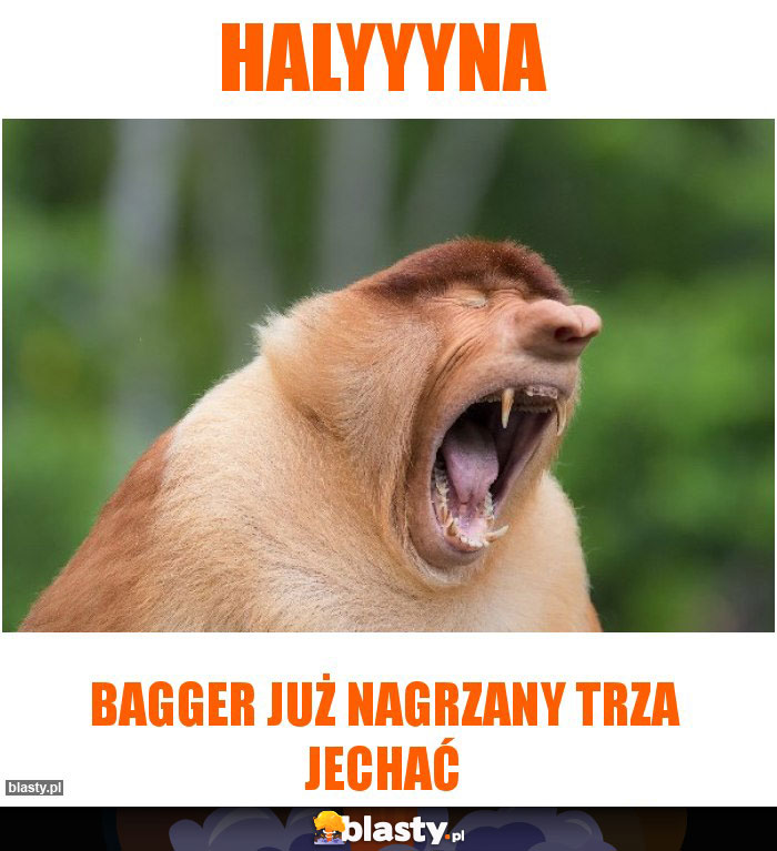 Halyyyna