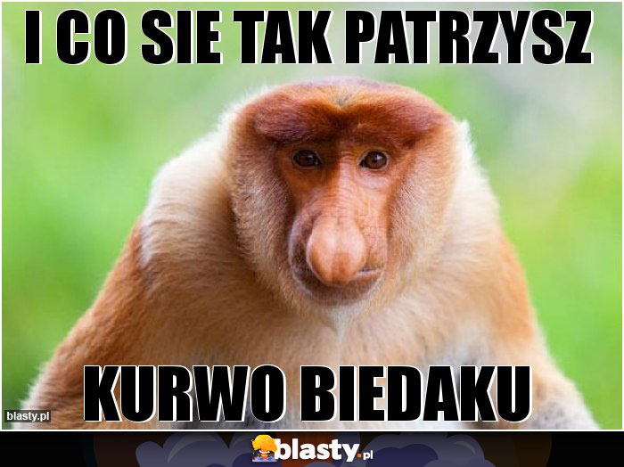 I co sie tak patrzysz