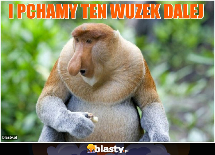 i pchamy ten wuzek dalej