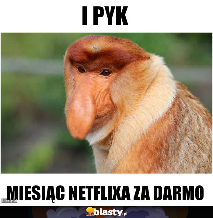 I pyk