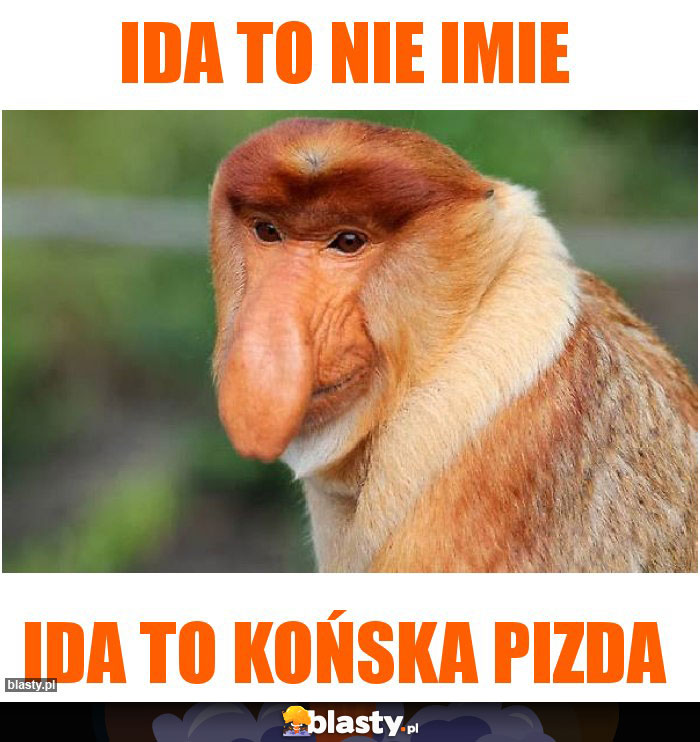 IDA to nie imie