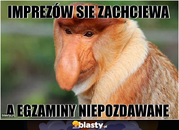 Imprezów sie zachciewa