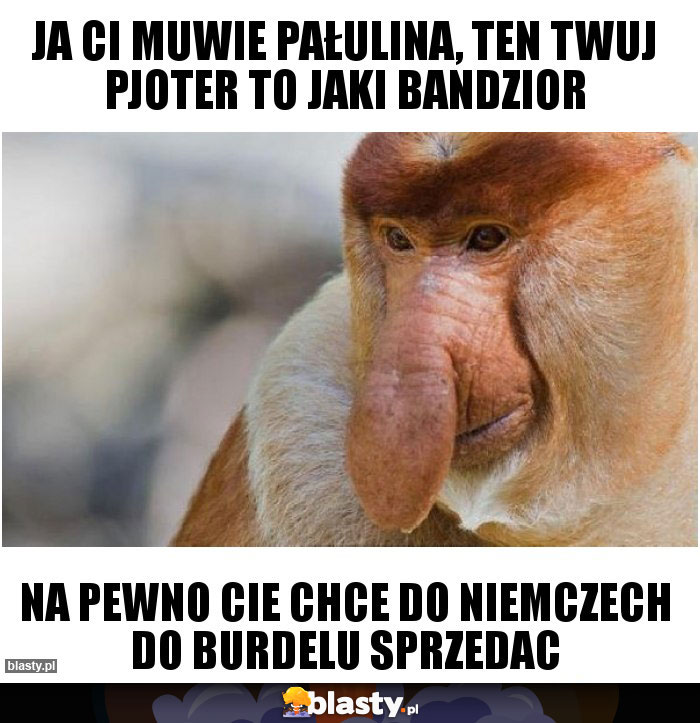 Ja Ci muwie pałulina, ten twuj pjoter to jaki bandzior