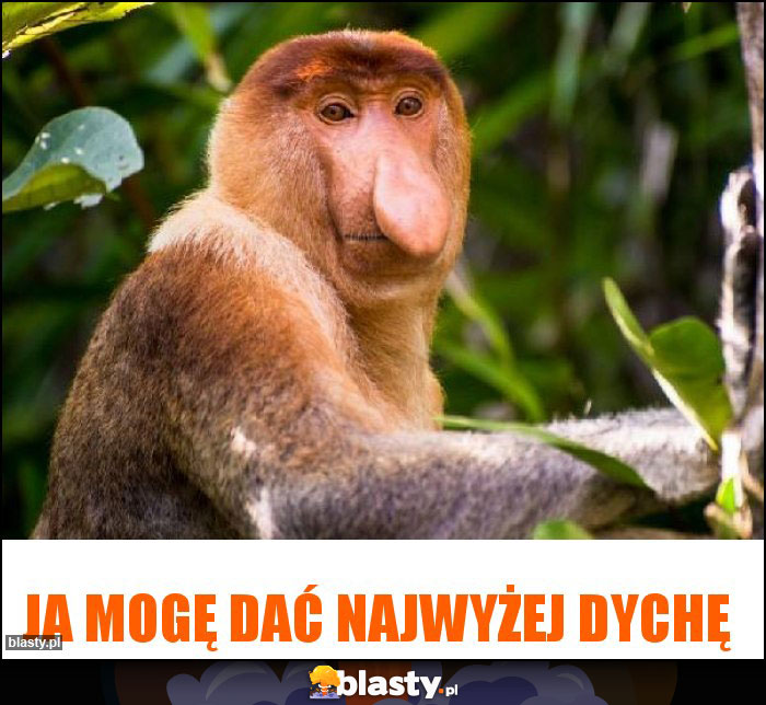 Ja mogę dać najwyżej dychę