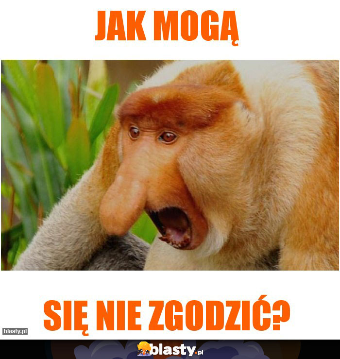 Jak mogą