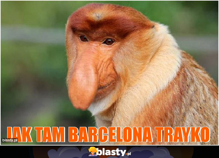 JAK tam barcelona Trayko